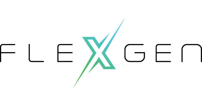 FlexGen_Primary_Logo___Gradient_copy_Log