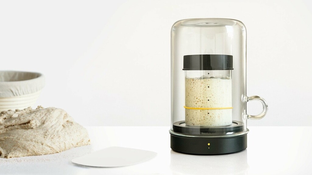 Goldie sourdough starter container