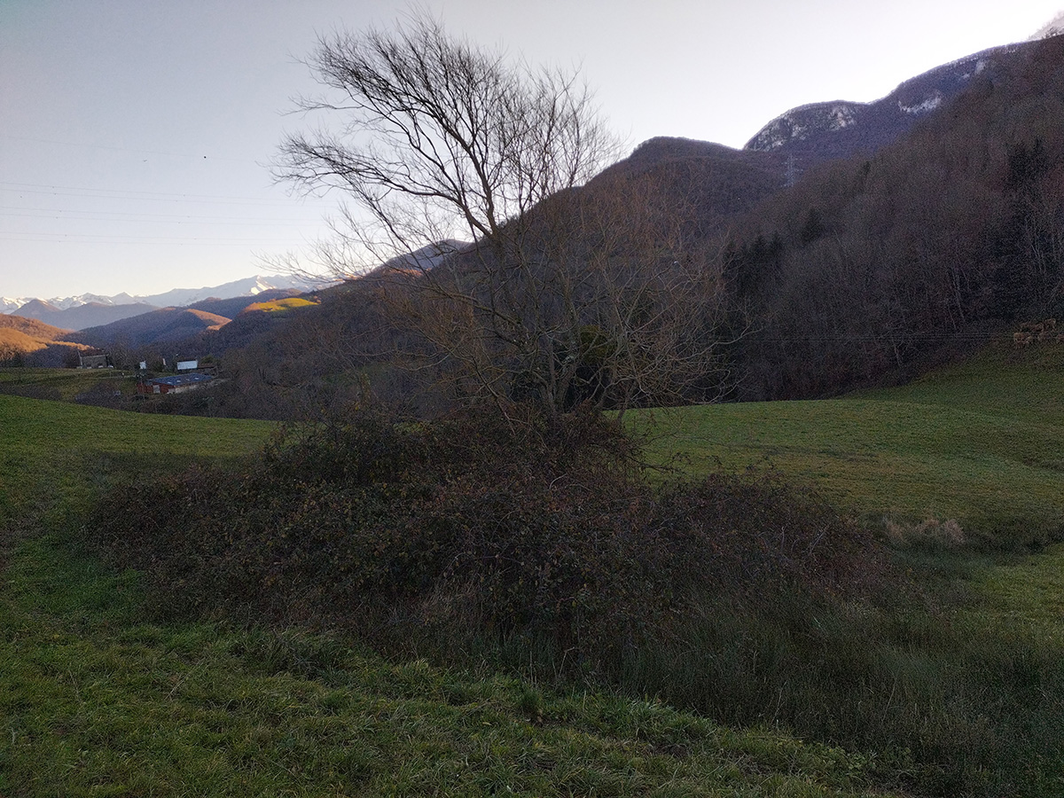 Terres agricoles abandonnées : quel avenir ?